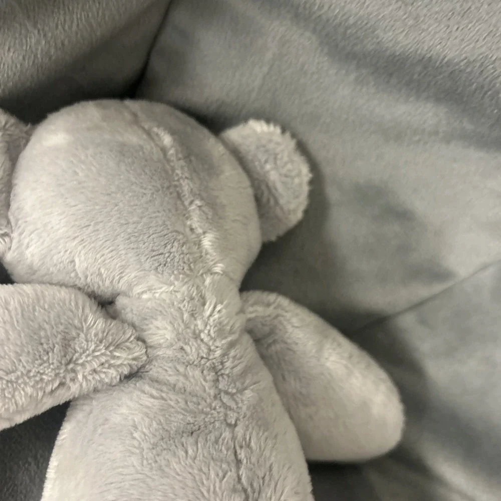 Baby Gund Toothpick Shay Koala Bear Gray Plush Sewn Eyes 12